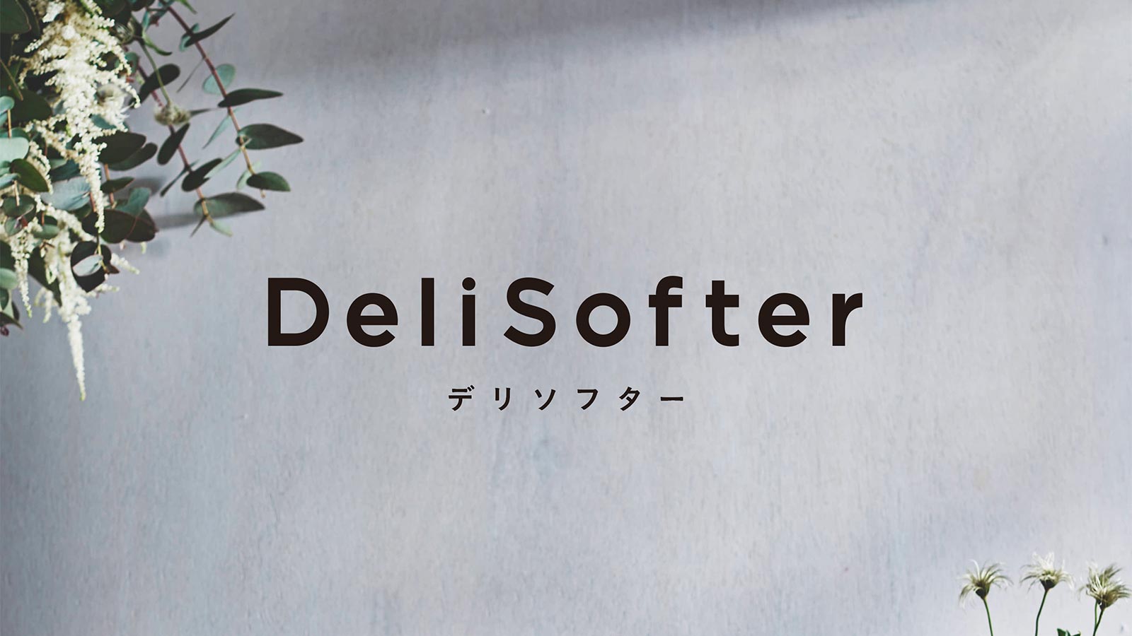 GIFMO DeliSofterパンフレット